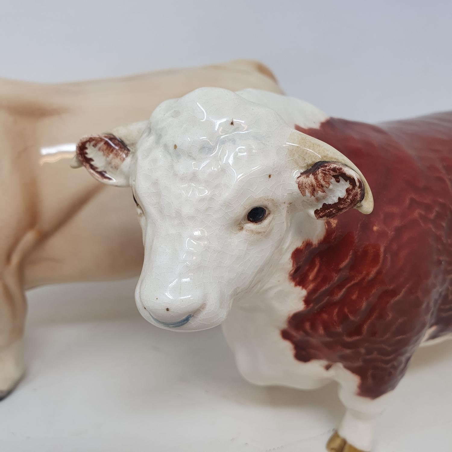 A Beswick Charolais bull, 2463A, and a Hereford bull (2) - Image 2 of 5