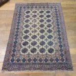 An Afghan red ground rug, 171 x 122 cm