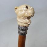 A 19th century walking stick, the ivory handle carved in the form of a bulldog's head, with glass