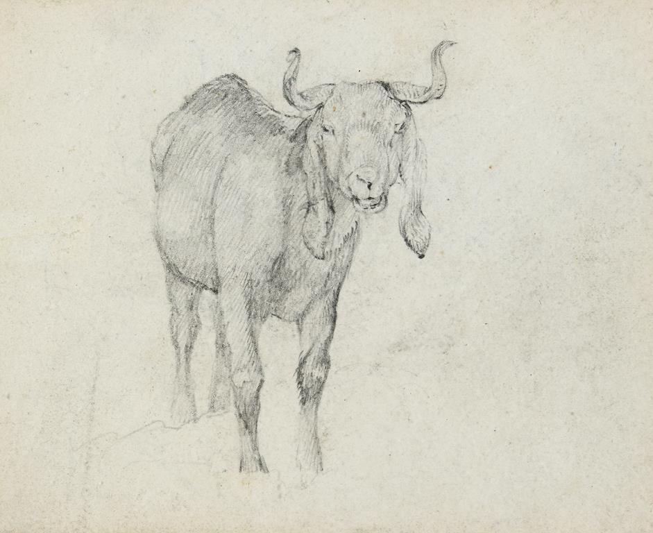 Sir Edwin Henry Landseer (1802-1873), an Eastern sheep, pencil, 11 cm x 14 cm, Thomas Agnew & Son