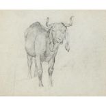 Sir Edwin Henry Landseer (1802-1873), an Eastern sheep, pencil, 11 cm x 14 cm, Thomas Agnew & Son
