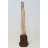 Taxidermy: a sawfish rostrum on wooden stand, 31 cm