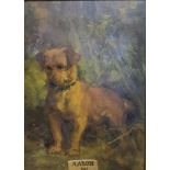 English school, mid 20th century, portrait of a terrier Aaron (1947), oil on board, 26 x 19 cm