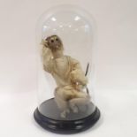 Taxidermy: an anthropomorphic monkey, under a glass dome, 45 cm high