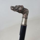 A walking stick, the silver plated handle in the form of a dog, on ebonised shaft, 90 cm