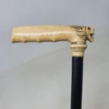 A 19th century walking stick, the ivory handle, carved in the form of a lion's head, on ebonised