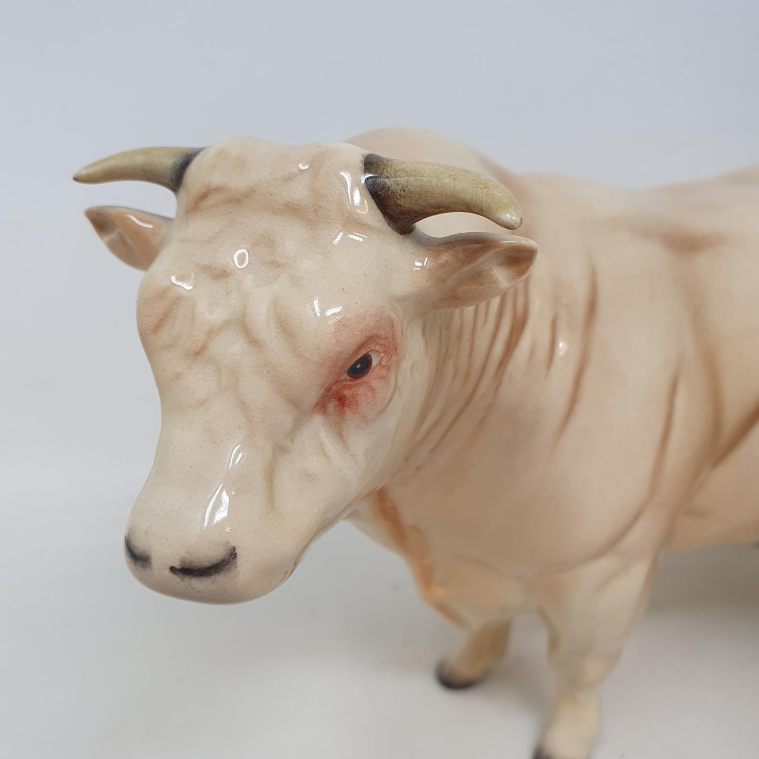 A Beswick Charolais bull, 2463A, and a Hereford bull (2) - Image 3 of 5