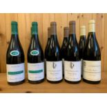 Four bottles of Laroze De Droughin Bourgogne Pinot Noir, 2016, and five other bottles (9) Please