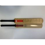 A Gray Nicolls cricket bat, signed by Hampshire, Lancashire, and Yorkshire C.C.C., another signed