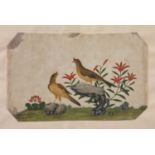 A Chinese pith paper watercolour, of two birds, 22 x 13 cm, three others and three prints (7)