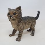 A late 19th/early 20th century Austrian cold painted bronze cat, 11.5 cm high x 18 cm long