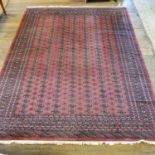 A Persian style pink ground carpet, with multiple borders, center with repeating geometric