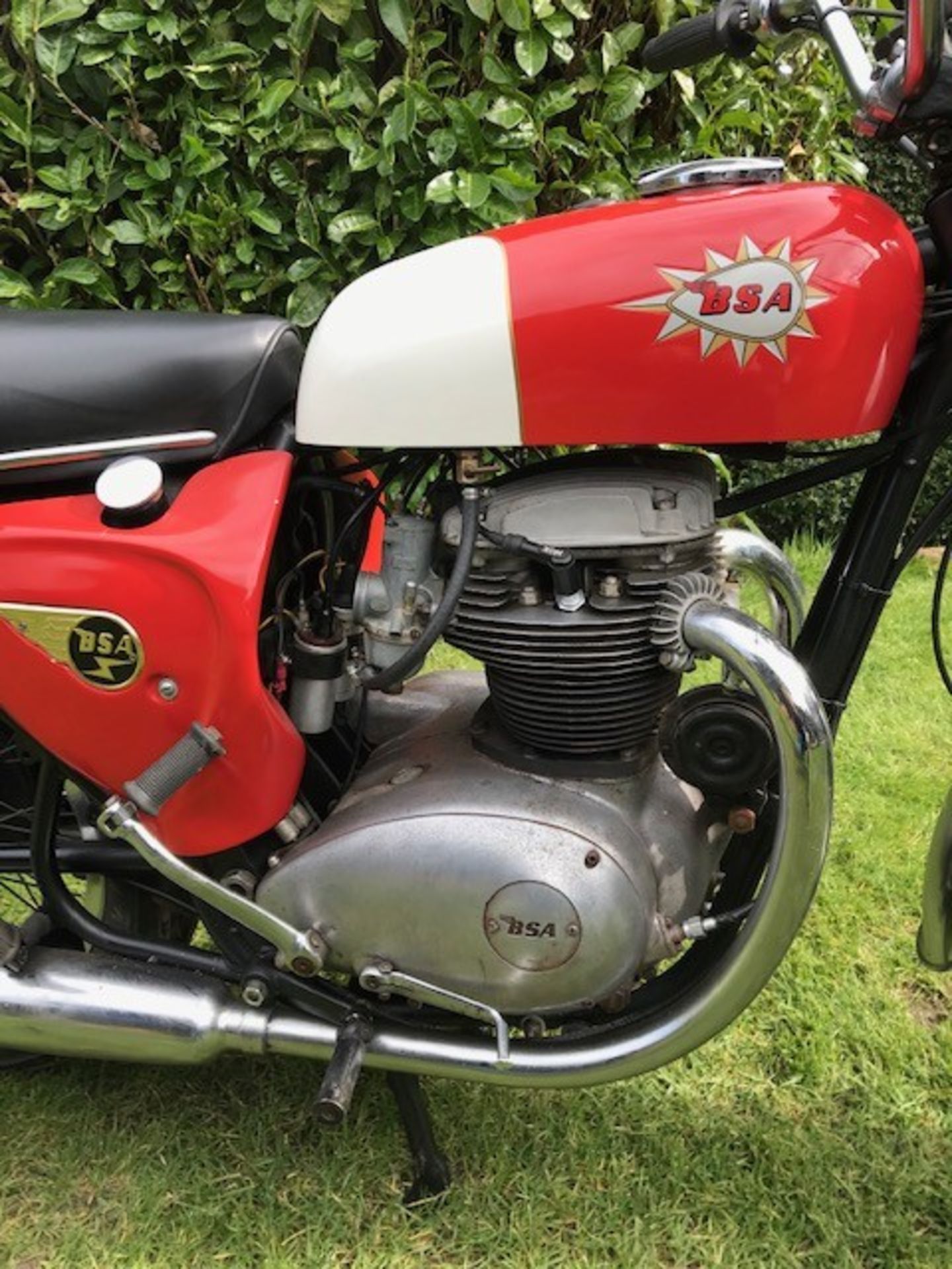 1966 BSA Spitfire Registration number AVG 924D Frame number A65S 10767 Engine number A65S 10767 12, - Image 7 of 13