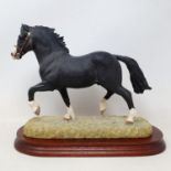 A Border Fine Arts figure, Welsh Cup Stallion Section D, limited edition 423/1250, by Anne Wall,