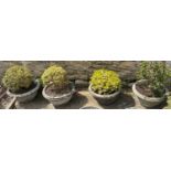 A matched set of four composite garden planters, 62 cm diameter