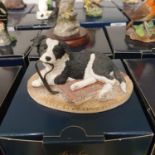 A Border Fine Arts figure, Walkies, B0860, boxed, and thirteen other Border Fine Arts animal