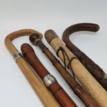 A carved wooden walking stick, 90 cm, and four others (5)