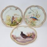 A set of seven 19th century cabinet plates, decorated birds and butterflies, 24 cm diameter Two