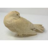 A large Japanese carved ivory figure, Meiji period, of a preening dove, lacks lower part of legs, 21