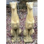 A pair of composite stone garden figures of greyhounds, 80 cm high (2)