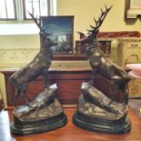 A large pair of bronze stags, on rocky mounts, with marble bases, the largest 74 cm high Modern