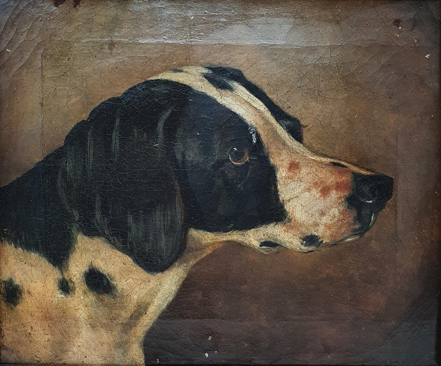 English school, early 20th century, study of a hound, oil on canvas, 24 x 29 cm Paint cracked all