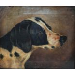 English school, early 20th century, study of a hound, oil on canvas, 24 x 29 cm Paint cracked all