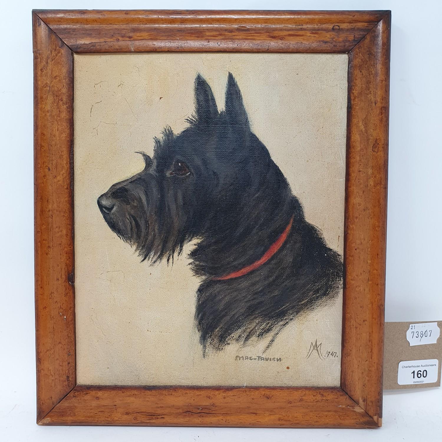 English school, mid 20th century, a study of a terrier, oil on board, monogramed AM, dated 1947, - Image 2 of 3