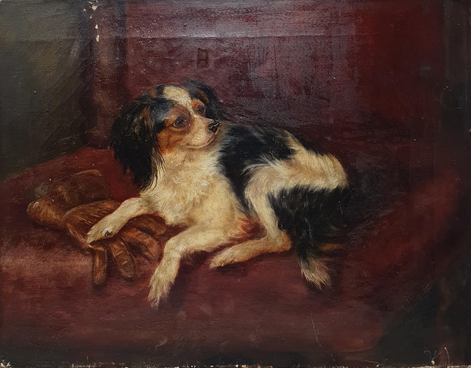English school, early 20th century, study of a dog, oil on canvas, (unframed), 36 x 45 cm