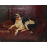 English school, early 20th century, study of a dog, oil on canvas, (unframed), 36 x 45 cm