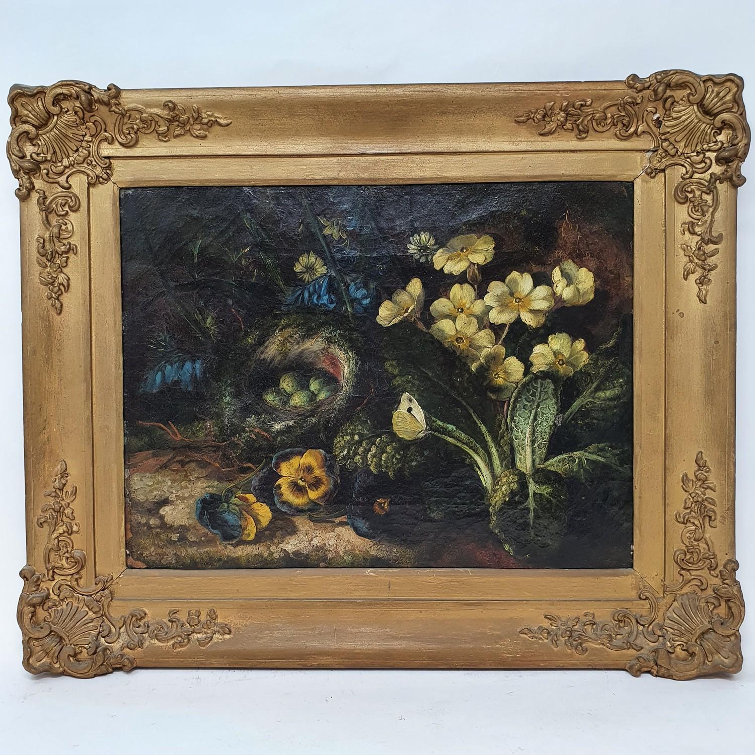 English school, 19th century, a still life with bird eggs, oil on canvas, hand written letter - Image 2 of 5