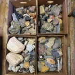 Various rocks and mineral samples (4 boxes)