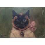E. M. Nelson, a study of a cat, Bigabois, oil on board, signed and dated 1920, 17 x 25 cm Various