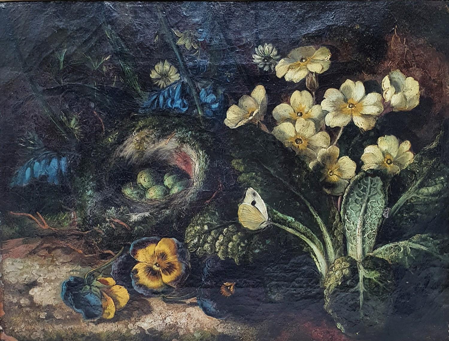 English school, 19th century, a still life with bird eggs, oil on canvas, hand written letter