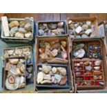 Various rock and mineral samples (qty)