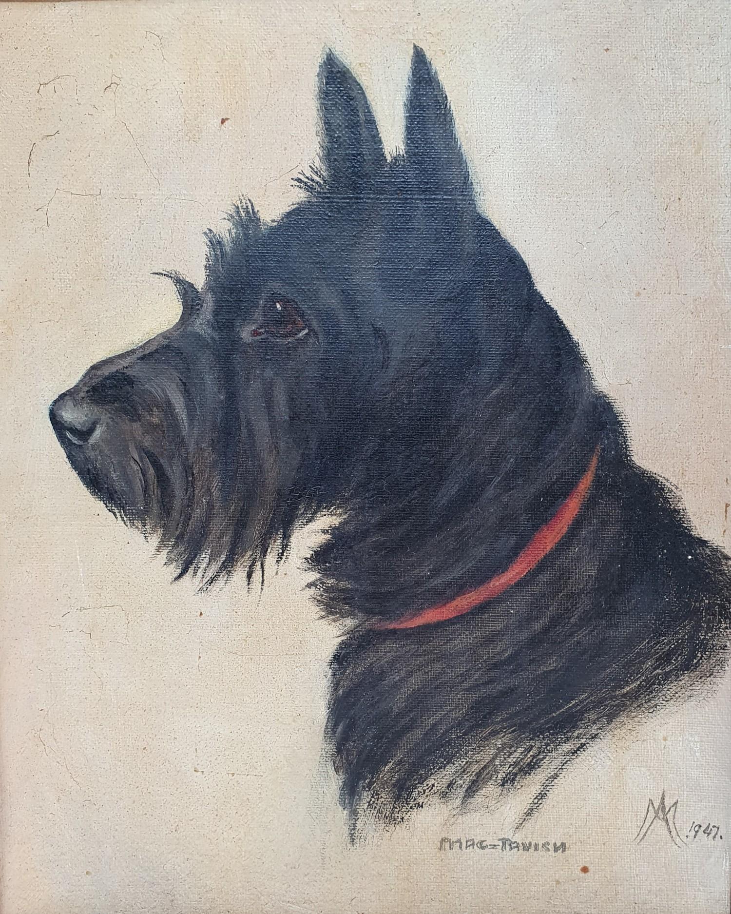 English school, mid 20th century, a study of a terrier, oil on board, monogramed AM, dated 1947,