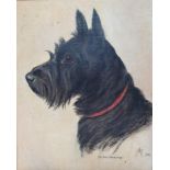English school, mid 20th century, a study of a terrier, oil on board, monogramed AM, dated 1947,