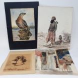 English school, early 20th century, study of a bird of prey, watercolour, 23 x 16 cm, unframed,