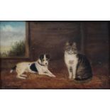 Frederick French, a terrier and a cat, oil on board, signed and dated 1895, 14 x 22 cm