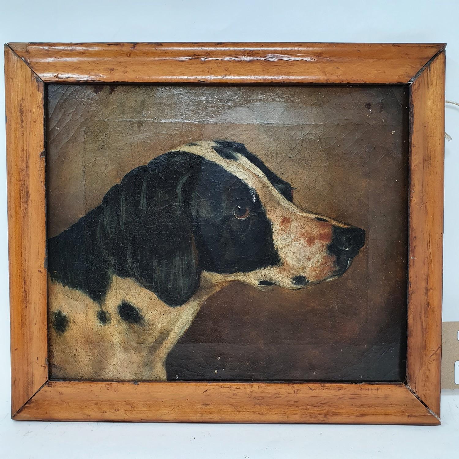 English school, early 20th century, study of a hound, oil on canvas, 24 x 29 cm Paint cracked all - Image 2 of 3