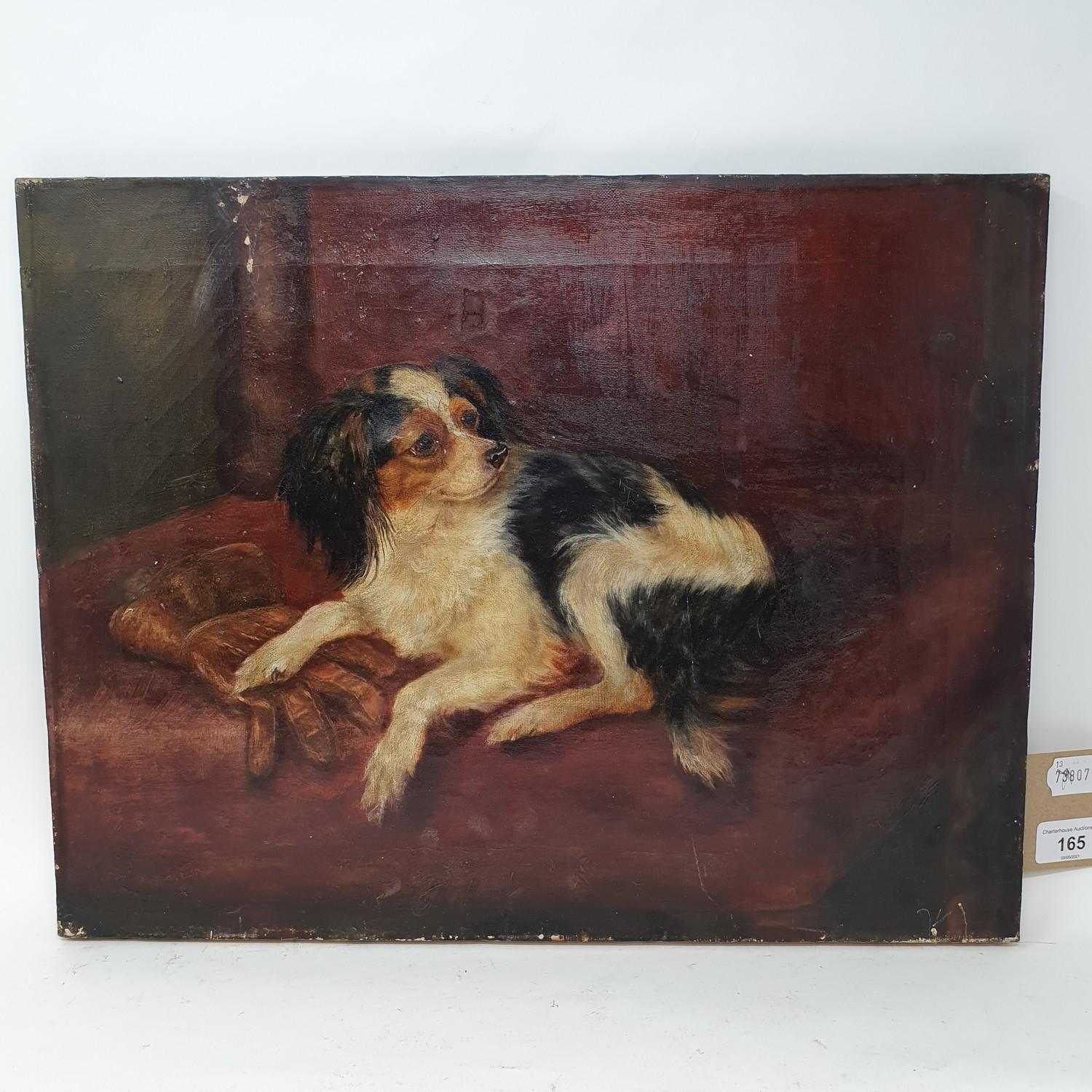 English school, early 20th century, study of a dog, oil on canvas, (unframed), 36 x 45 cm - Image 2 of 3
