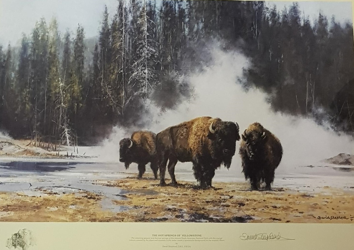 David Shepherd (British 1931- 2017), Hot Springs of Yellowstone, limited edition print, 1175/1500,