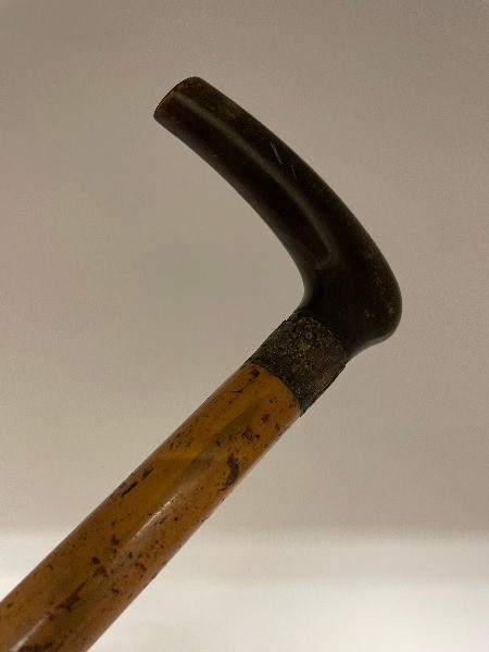A walking stick, with a horn handle, 88 cm long and four others (5)