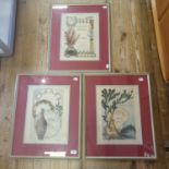 A set of three French Art Noveau advertising prints, 37 x 28 cm, and a print of flowers, 99 x 44