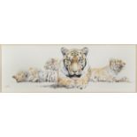 Spencer Hodge, study of a tiger, watercolour, signed, 140 x 48 cm, with certificate of