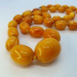 An amber bead necklace 37.5 g all in weight