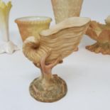 A Royal Worcester blush ivory vase, in the form of a conch shell, date mark for 1901, 10 cm high,