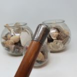 A silver mounted walking stick, a collection of shells, a model boat, and various other items (5
