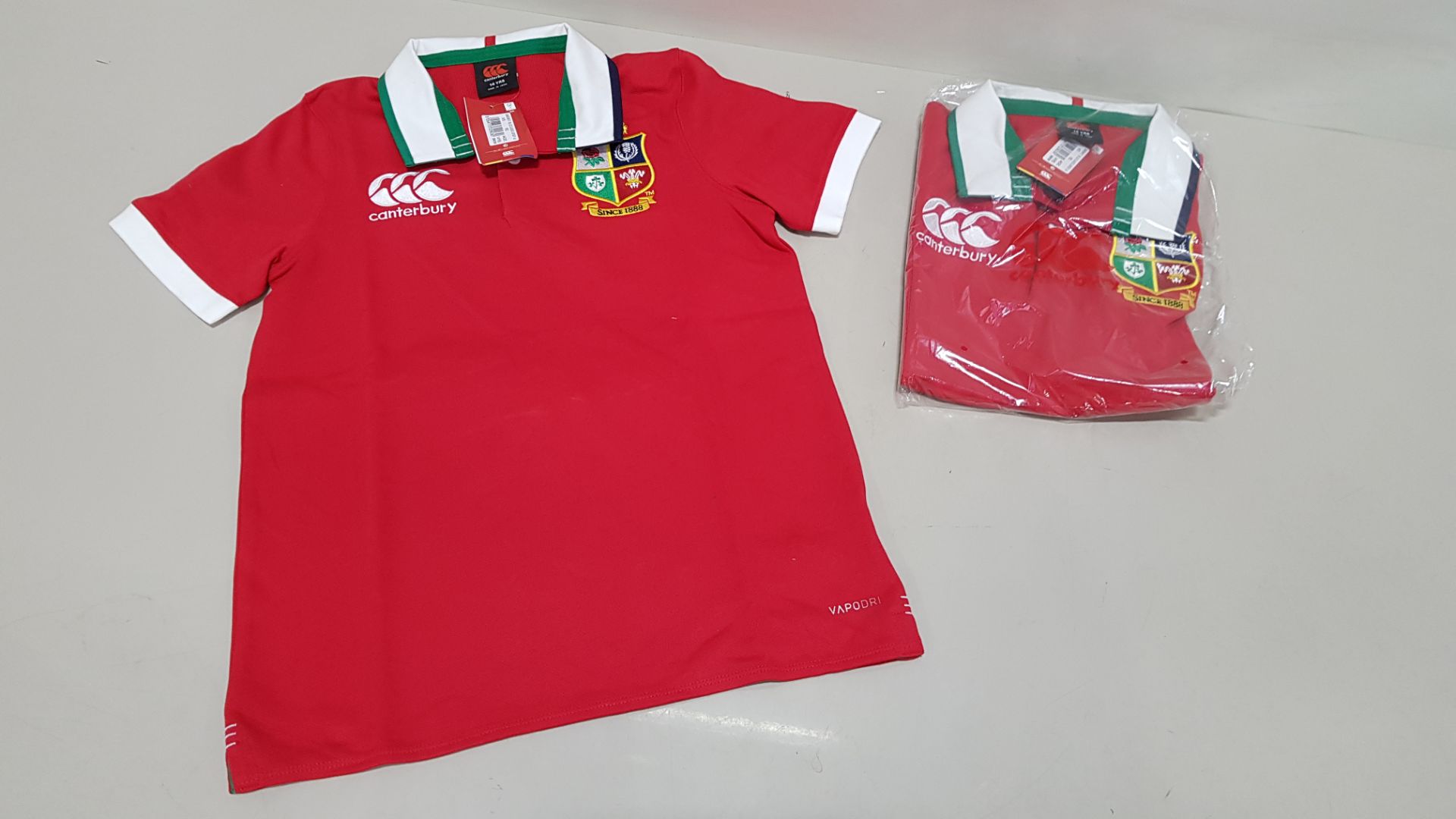 16 X BRAND NEW CANTERBURY FOUR NATIONS CLASSIC RUGBY JERSEY AGE 14 YEARS