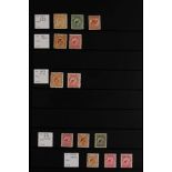 COLLECTIONS & ACCUMULATIONS ANIMALS (MOSTLY BIRDS) ON NEW ZEALAND STAMPS 1898 - 1973 MINT / MOSTLY